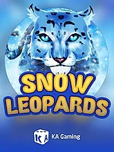 Snow Leopards